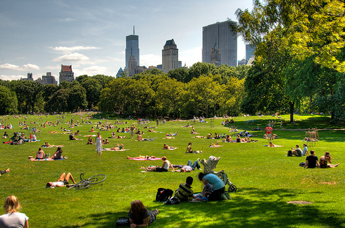 Punaises de lit New York City en été