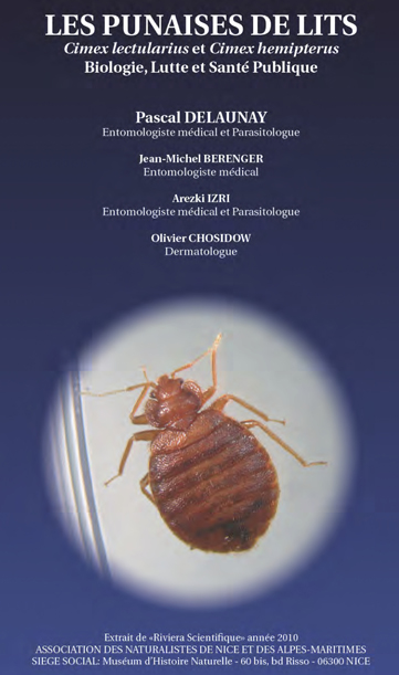 Punaises de lit : entomologistes