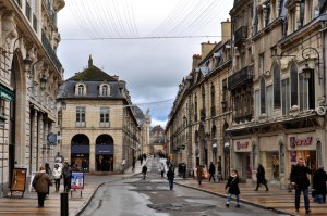 entreprise desinsectisation punaise lit cote or dijon