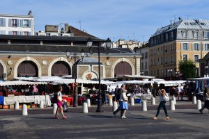 entreprise desinsectisation punaise lit yvelines versailles