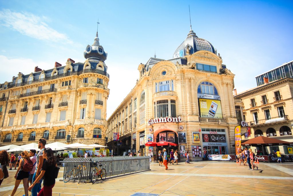 punaise de lit montpellier