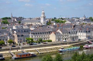 entreprise desinsectisation punaise lit maine et loire angers