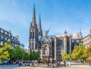 entreprise desinsectisation punaise lit puy de dome clermont ferrand