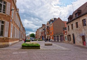 entreprise desinsectisation punaise lit somme amiens